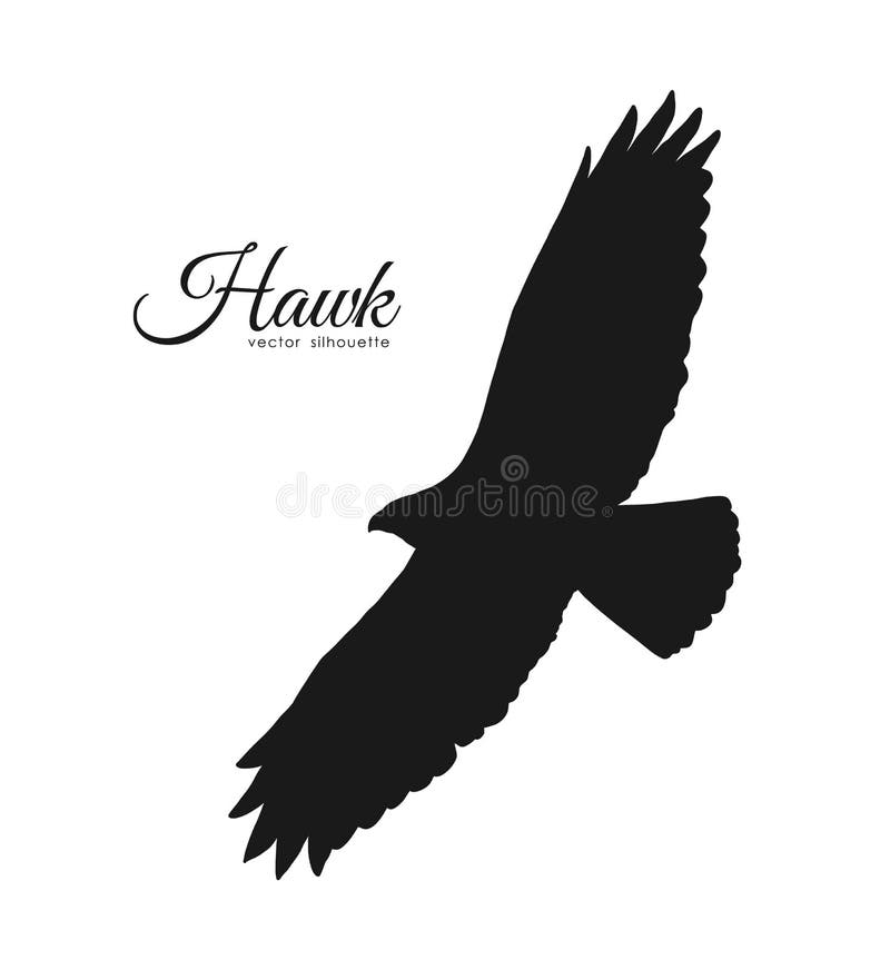 Hawk Silhouette Stock Illustrations 26 832 Hawk Silhouette Stock 