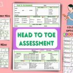 Head to toe Assessment Template checklist Health Assessment Cheat Sheet Nursing Student Study Guide Nursing Digital Notes Etsy Ireland