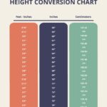 Height Conversion Chart In PDF Download Template