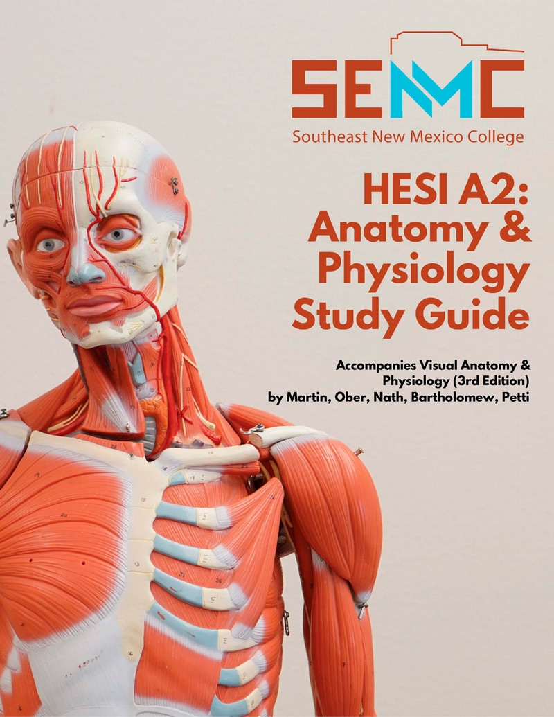 free printable hesi study guide