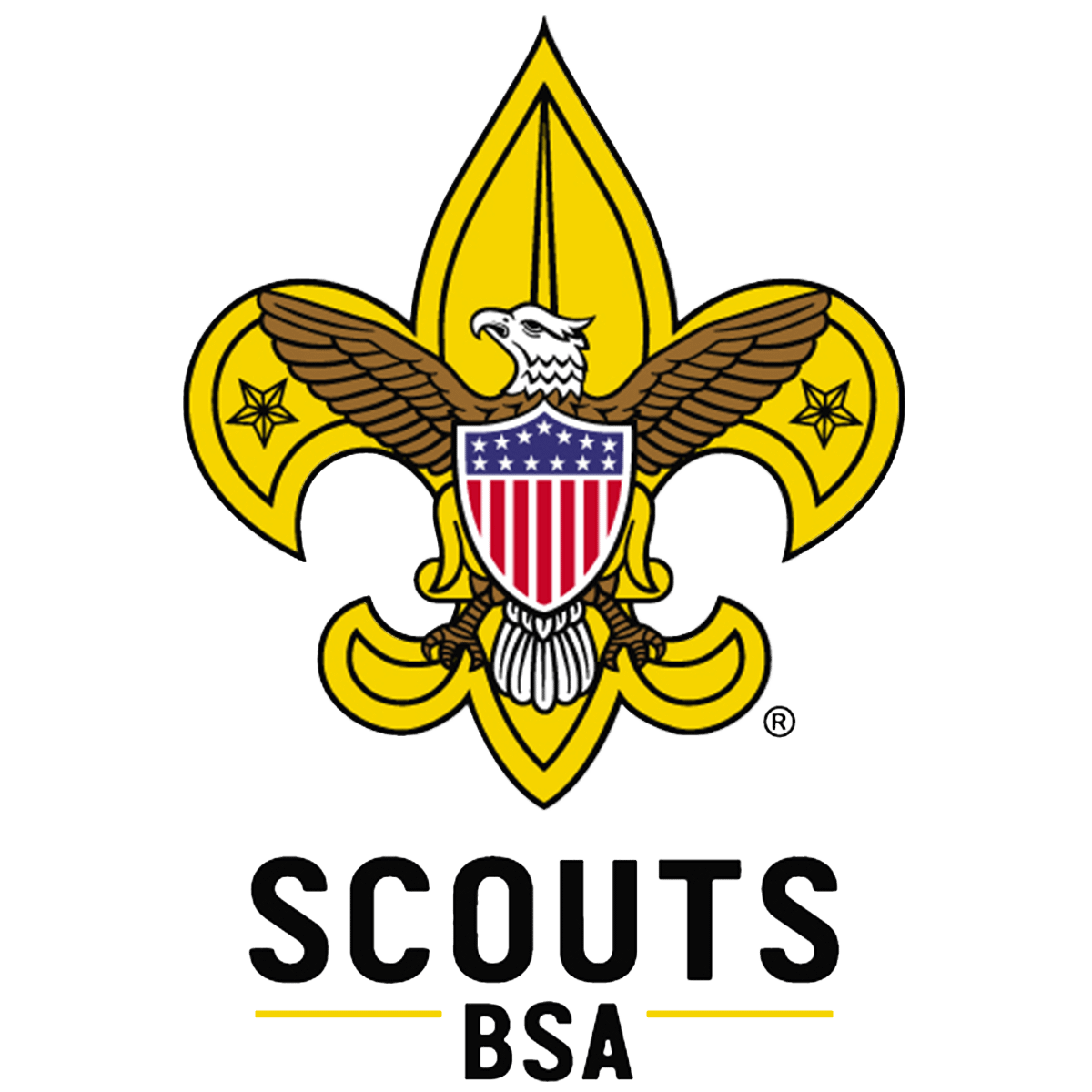 eagle scout workbook printable