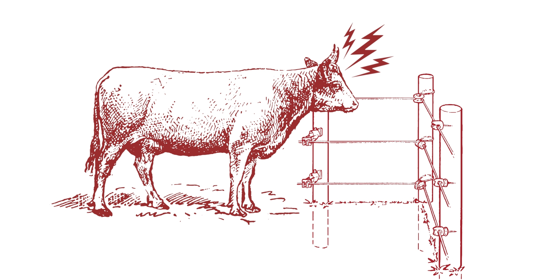 How Electric Fencing Works Electric Fence Installation Guide Dare Products Inc 70 Years Of Electric Fencing