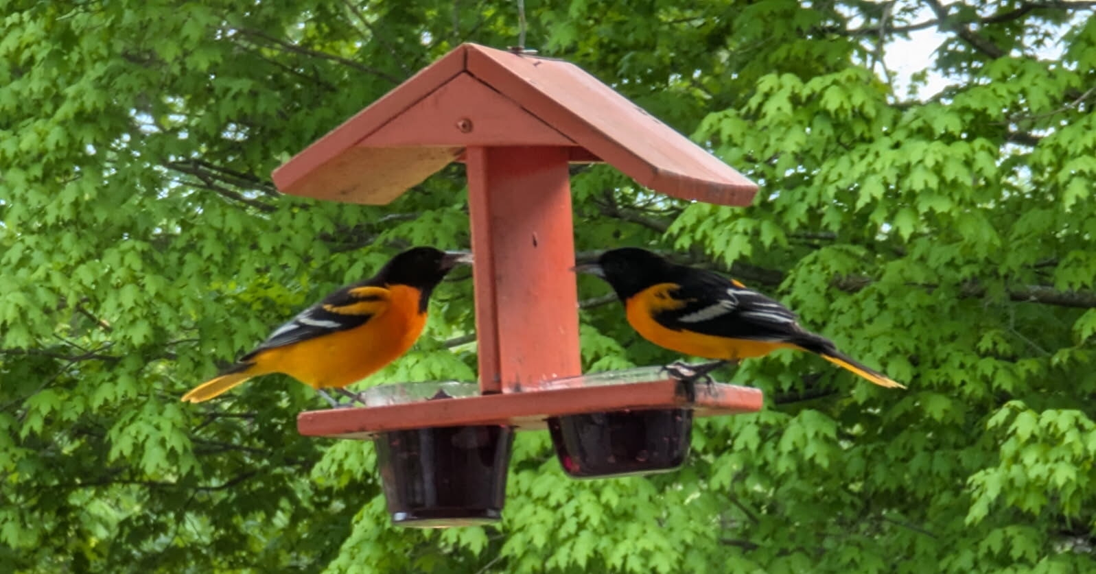 orioles 2018 schedule printable