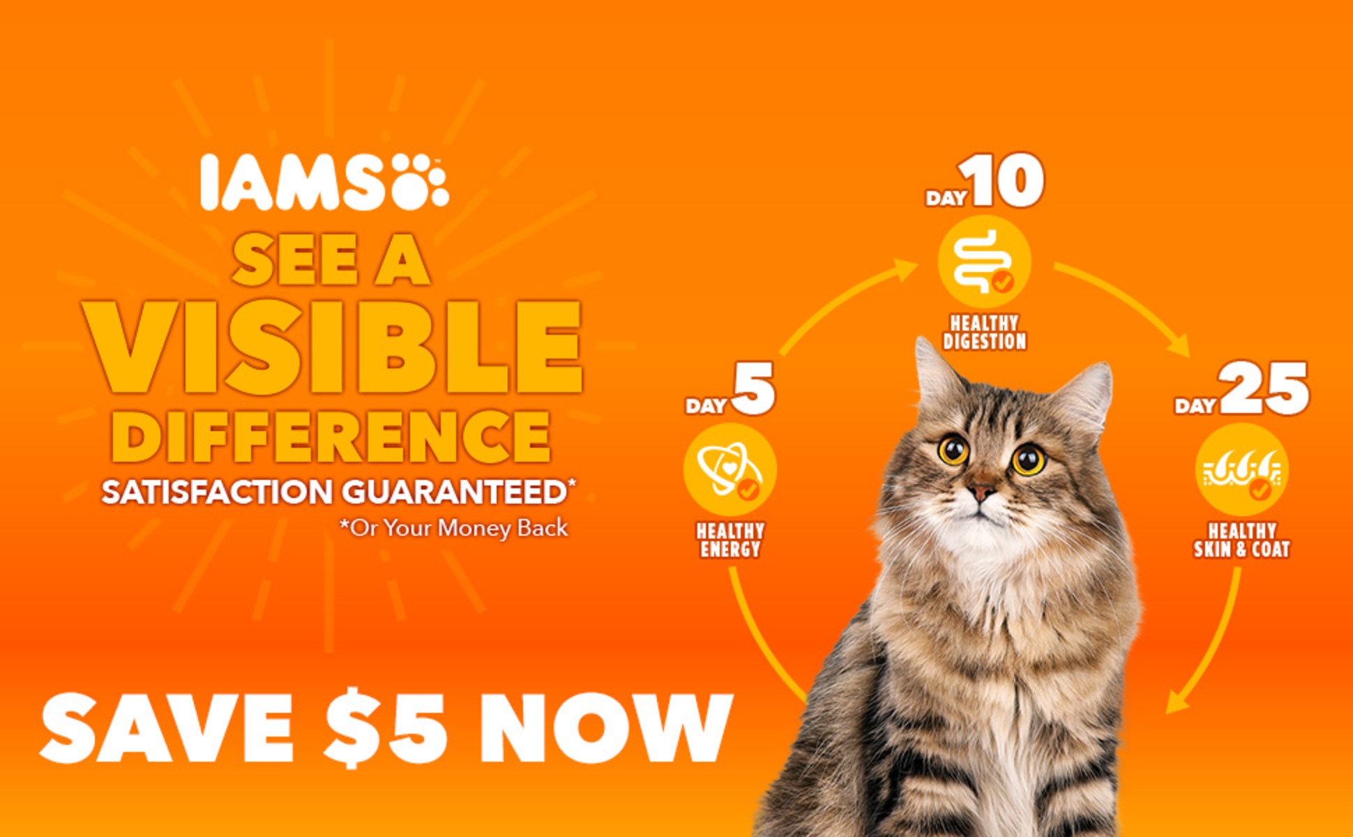 Iams Healthy Enjoyment Chicken U0026 Salmon Dry Cat Food 3 Lbs Worksheets Library