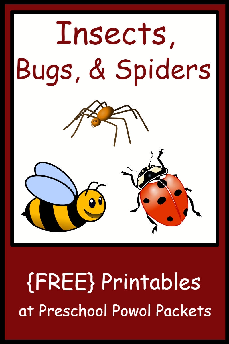 preschool insect theme printables preschool insect theme printables