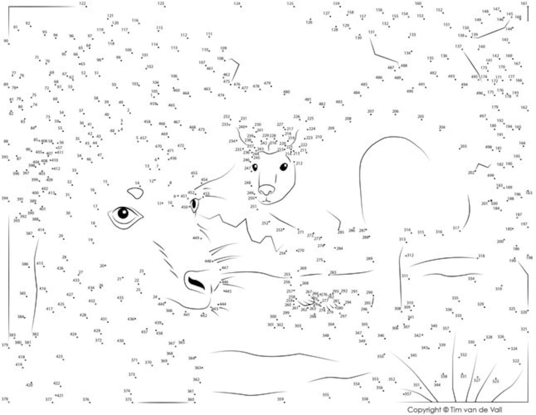 Kangaroo Dot to dot Connect The Dots PDF 500 Dots Etsy Australia