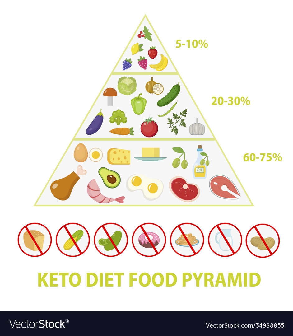 Ketogenic Diet Food Pyramid Macros Royalty Free Vector