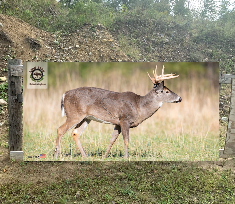 Life Size Whitetail Deer Target Full Size Deer Target