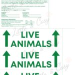 Live Animal Airline Stickers Pet Carrier Travel Label PDF Etsy