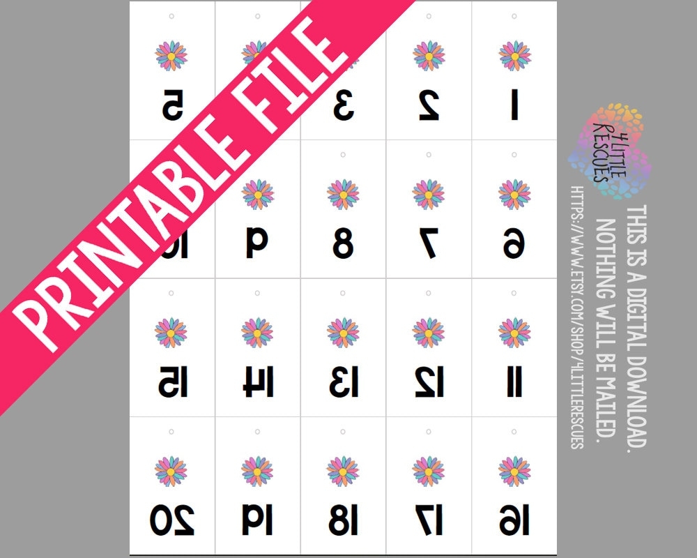 LLR Daisy Facebook Live Sale Reverse U0026 Forward Numbers 1 500 Mirror Image Tags Backwards Inventory Cards 20 Per Page Printable PDF
