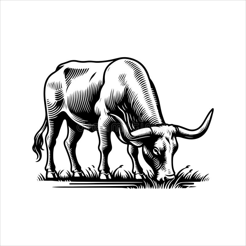 Longhorn Coloring Page Stock Illustrations 122 Longhorn Coloring Longhorn Coloring Page Stock Illustrations 122 Longhorn Coloring