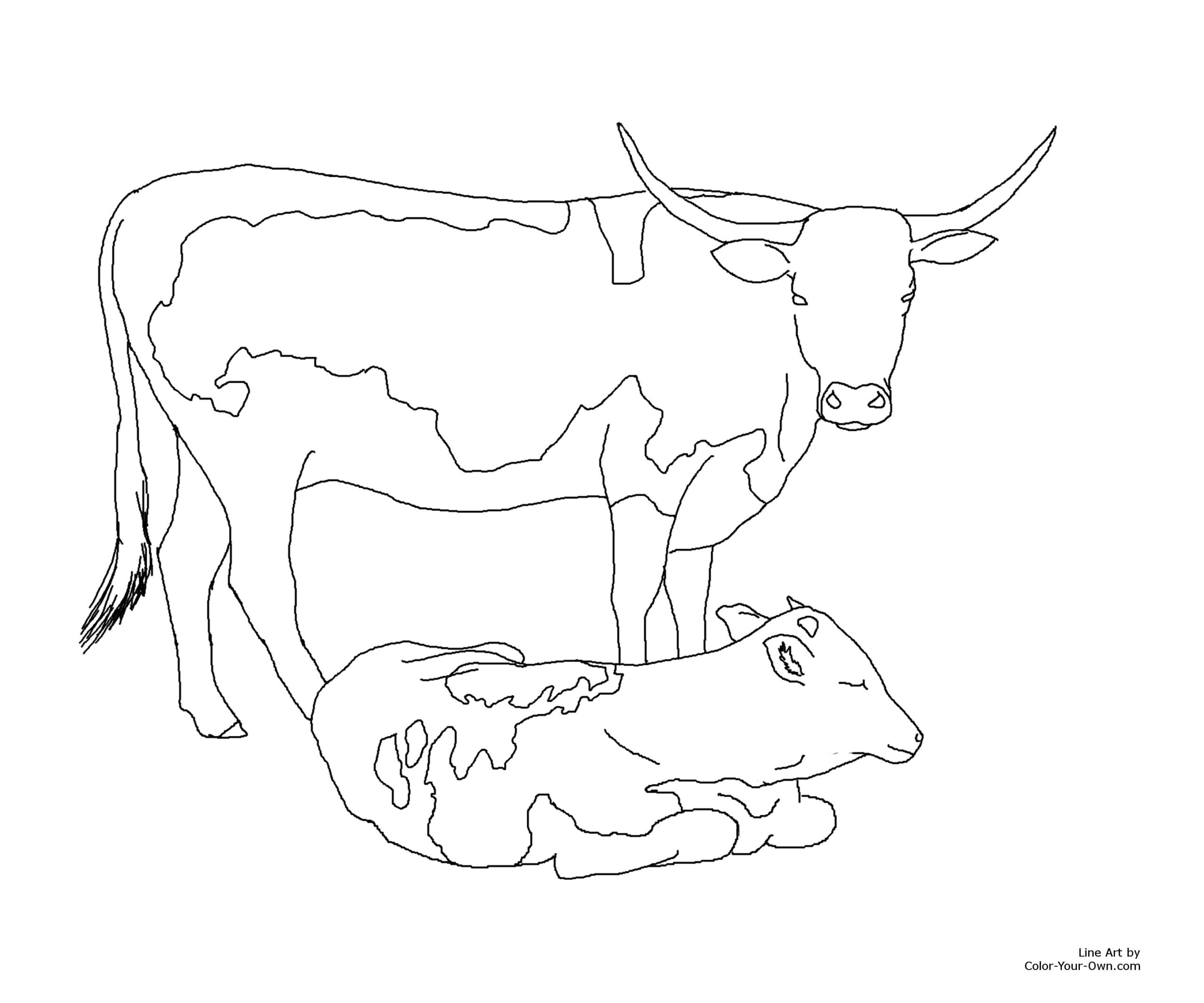 Longhorn Cow And Calf Coloring Page Longhorn Cow And Calf Coloring Page