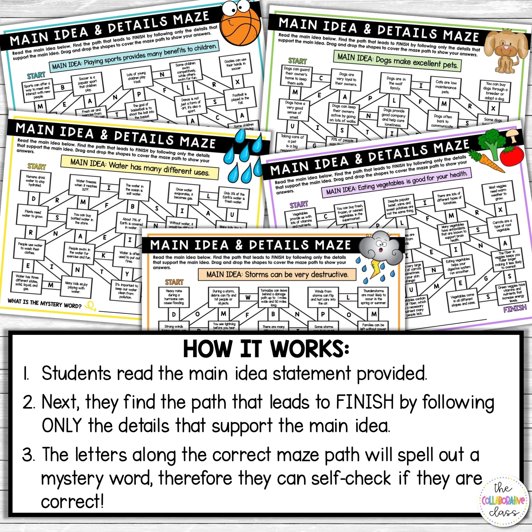 Main Idea Reading Passages Graphic Organizers