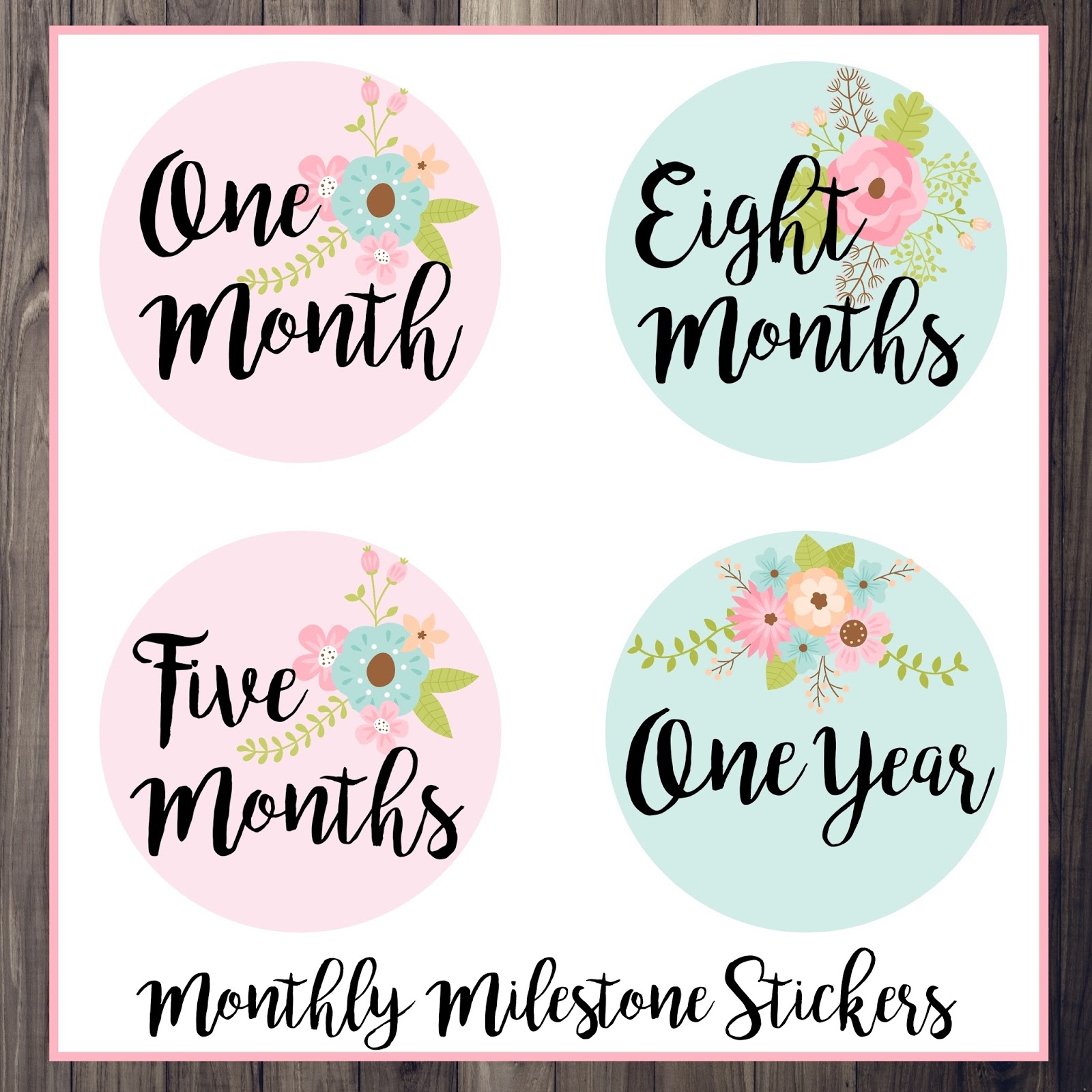 Months Baby Milestone Baby Monthly Stickers Floral Baby Milestone Stickers Newborn Girl Stickers Month Stickers For Baby Girl set Of 24 Month Baby Milestone Signs