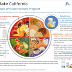 MyPlate