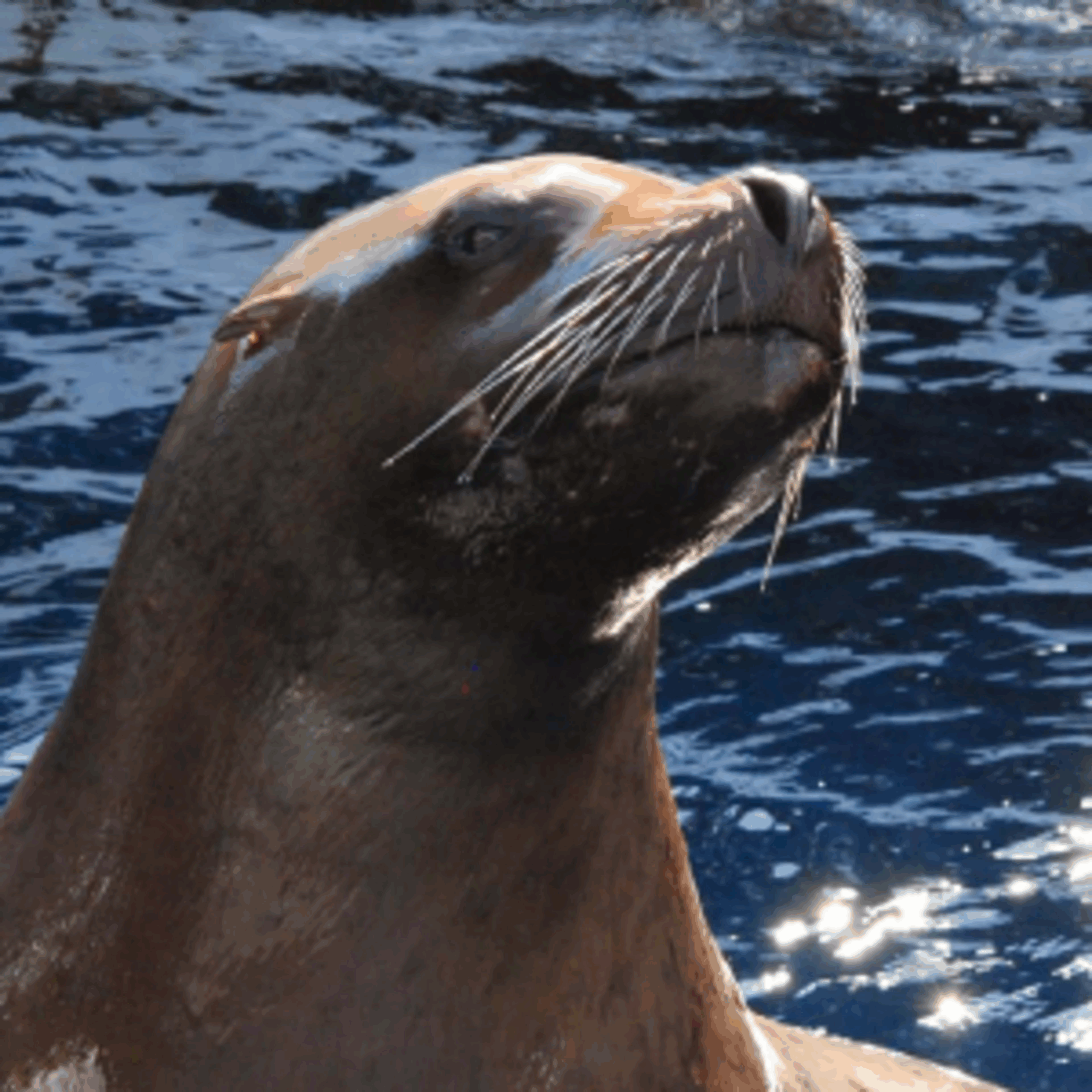Mysticaquarium COUPON CODES 42 For Aug 2025