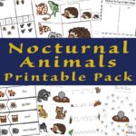 Nocturnal Animals For Kids Fun With Mama