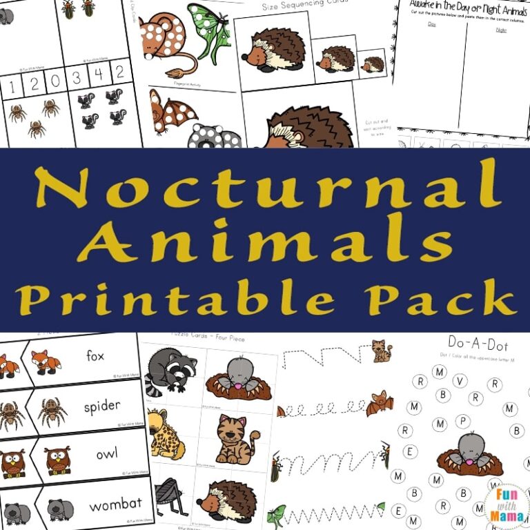 Nocturnal Animals For Kids Fun With Mama