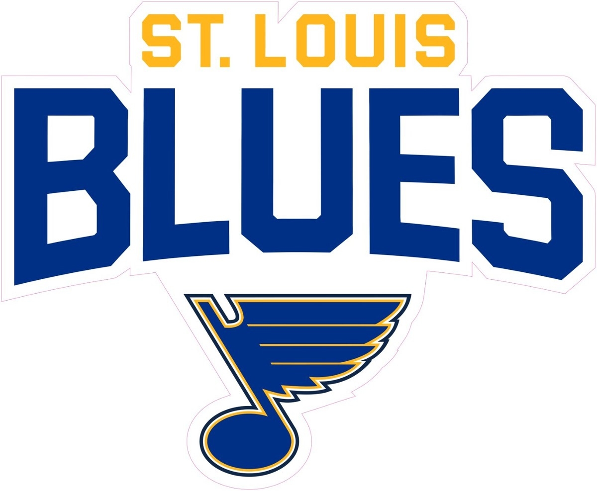  NOT A PATCH St Louis Blues Hockey HTV Heat Transfer Vinyl Iron On