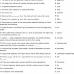 Nutrition Test Review Worksheet WordMint