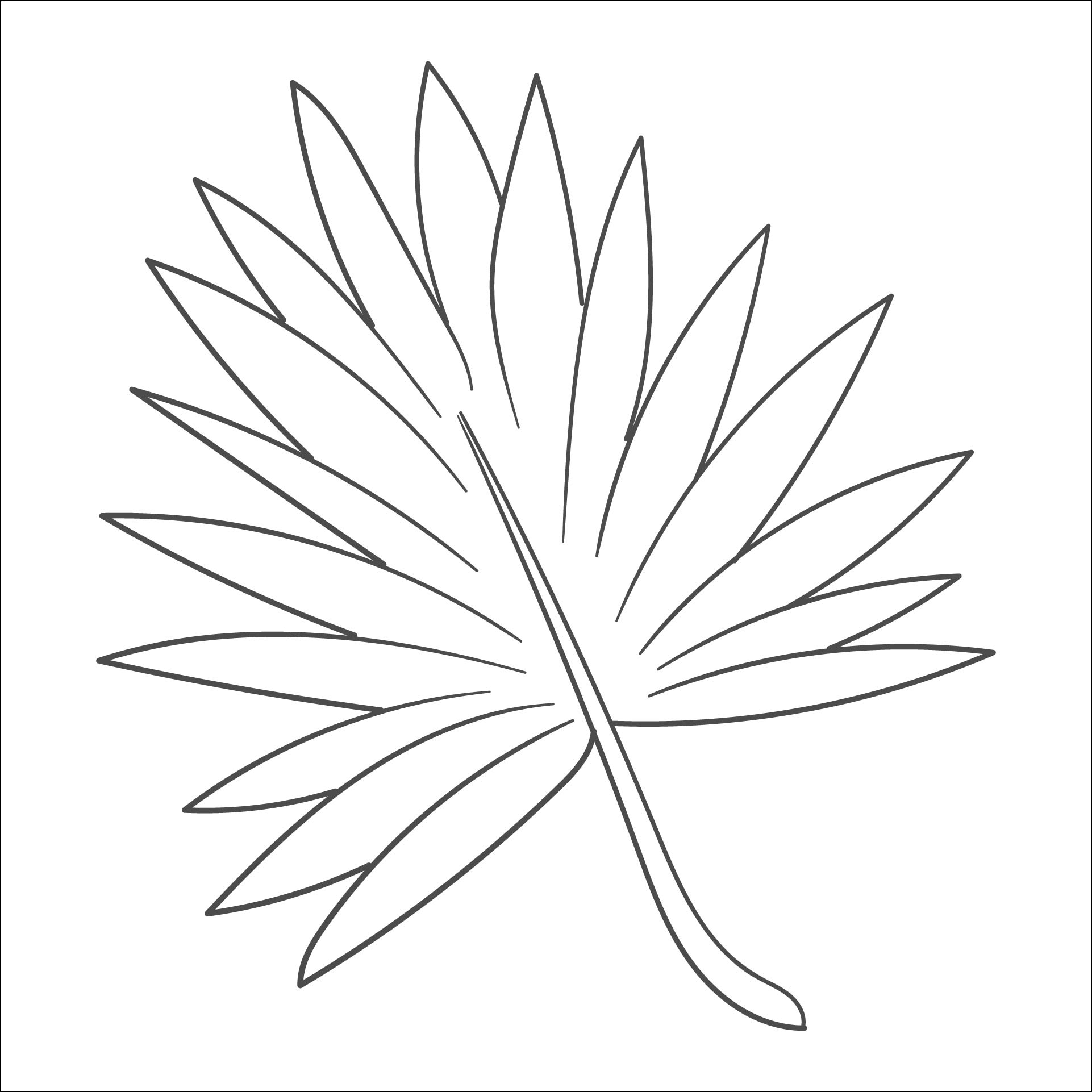 Palm Leaf Template 16 Free PDF Printables Printablee Worksheets Library