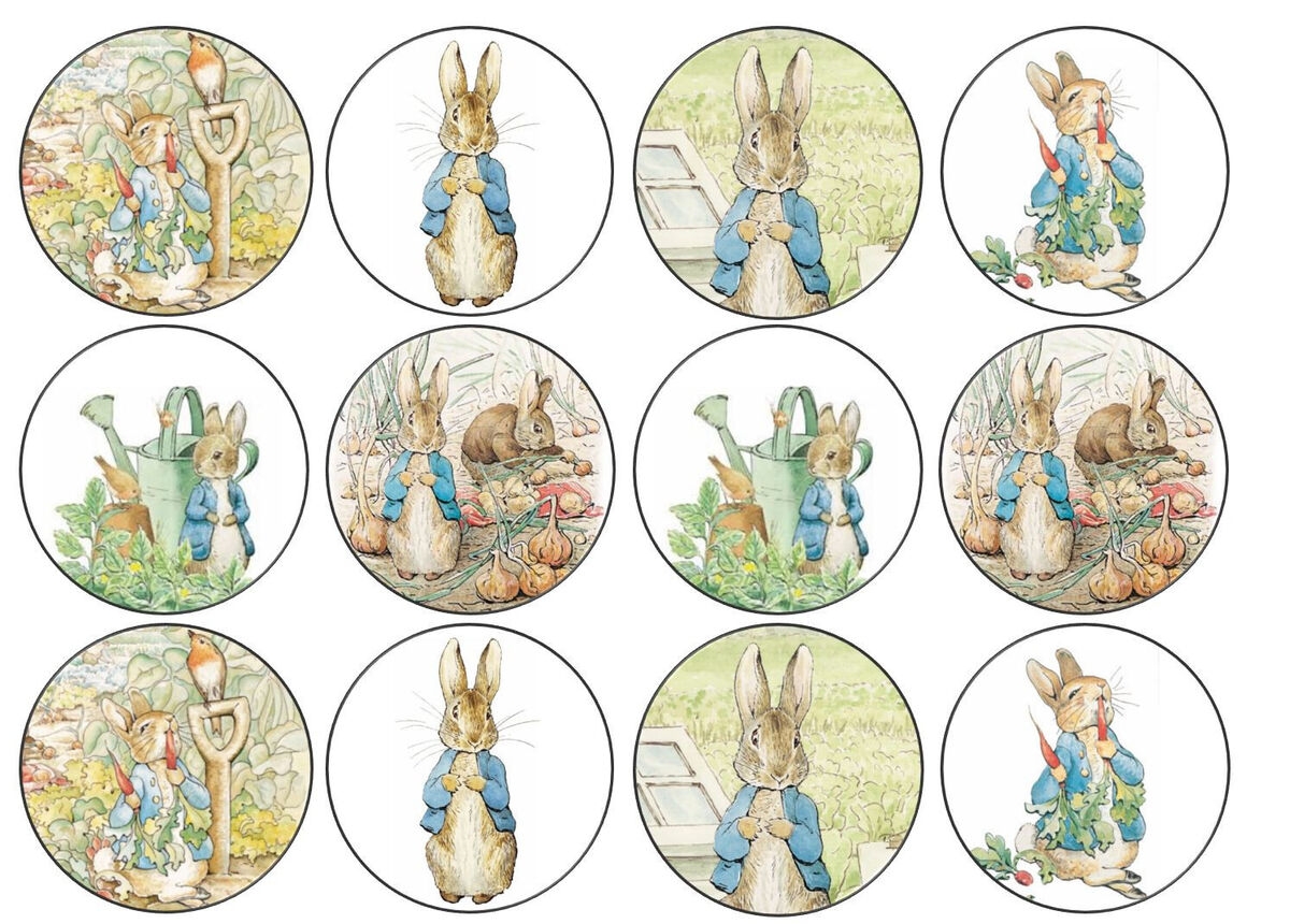 Peter Rabbit Edible Wafer Cup Cake Toppers Standing Or Disc
