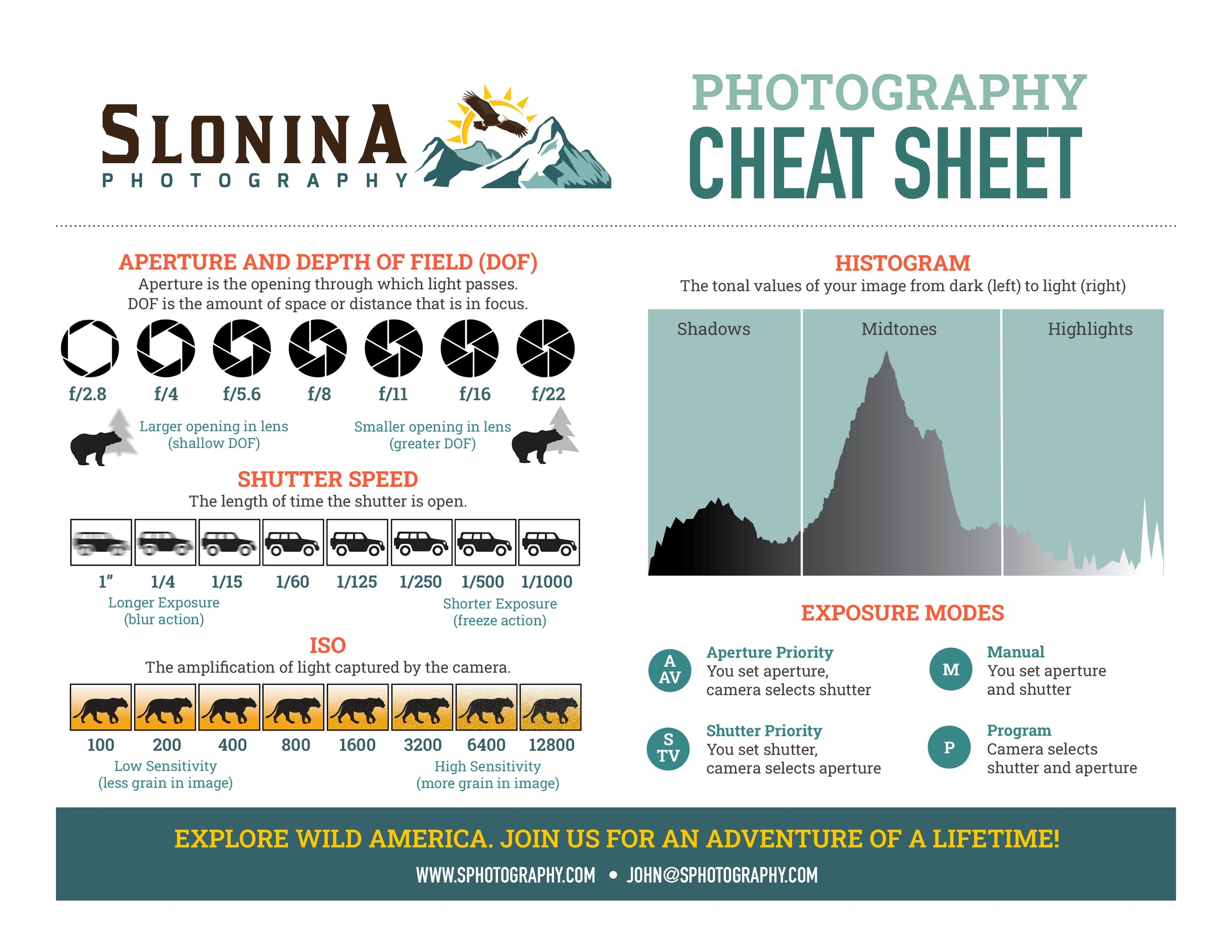 Photography Exposure Triangle Slonina Nature Photography