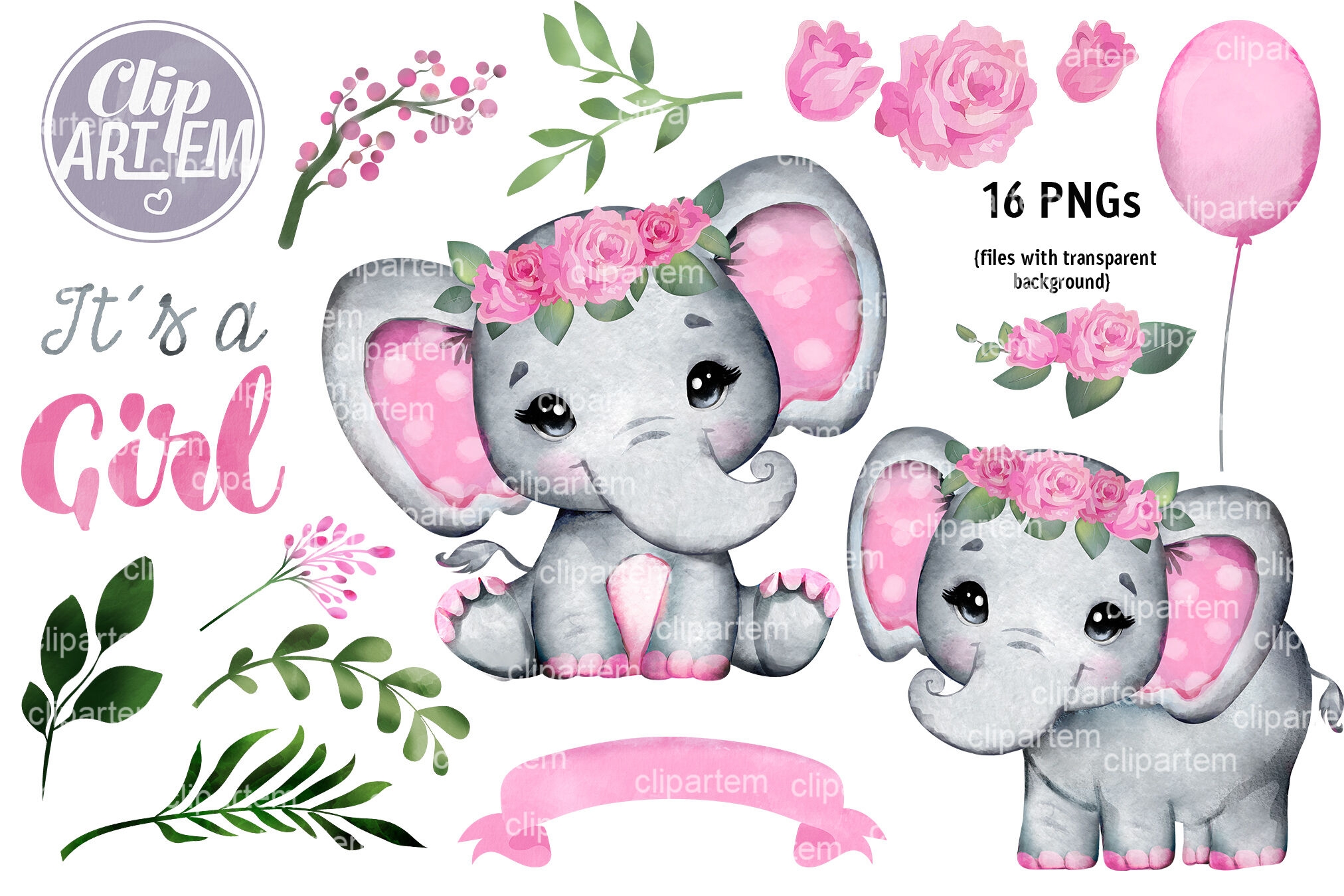 Pink Floral Girl Elephant Baby Shower 16 PNG Images Set By ClipArtem TheHungryJPEG