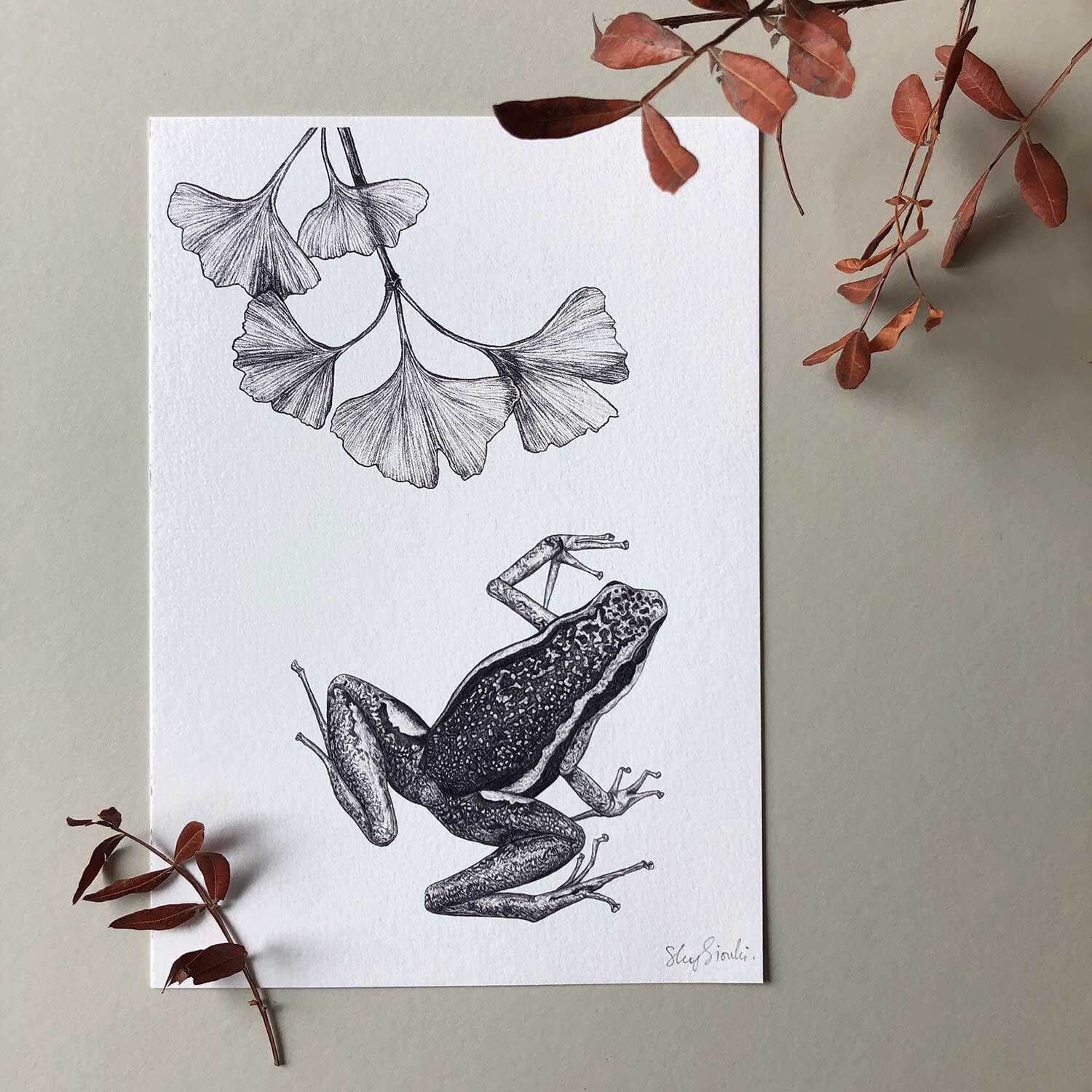 Poison Dart Frog A5 Art Print Sky Siouki
