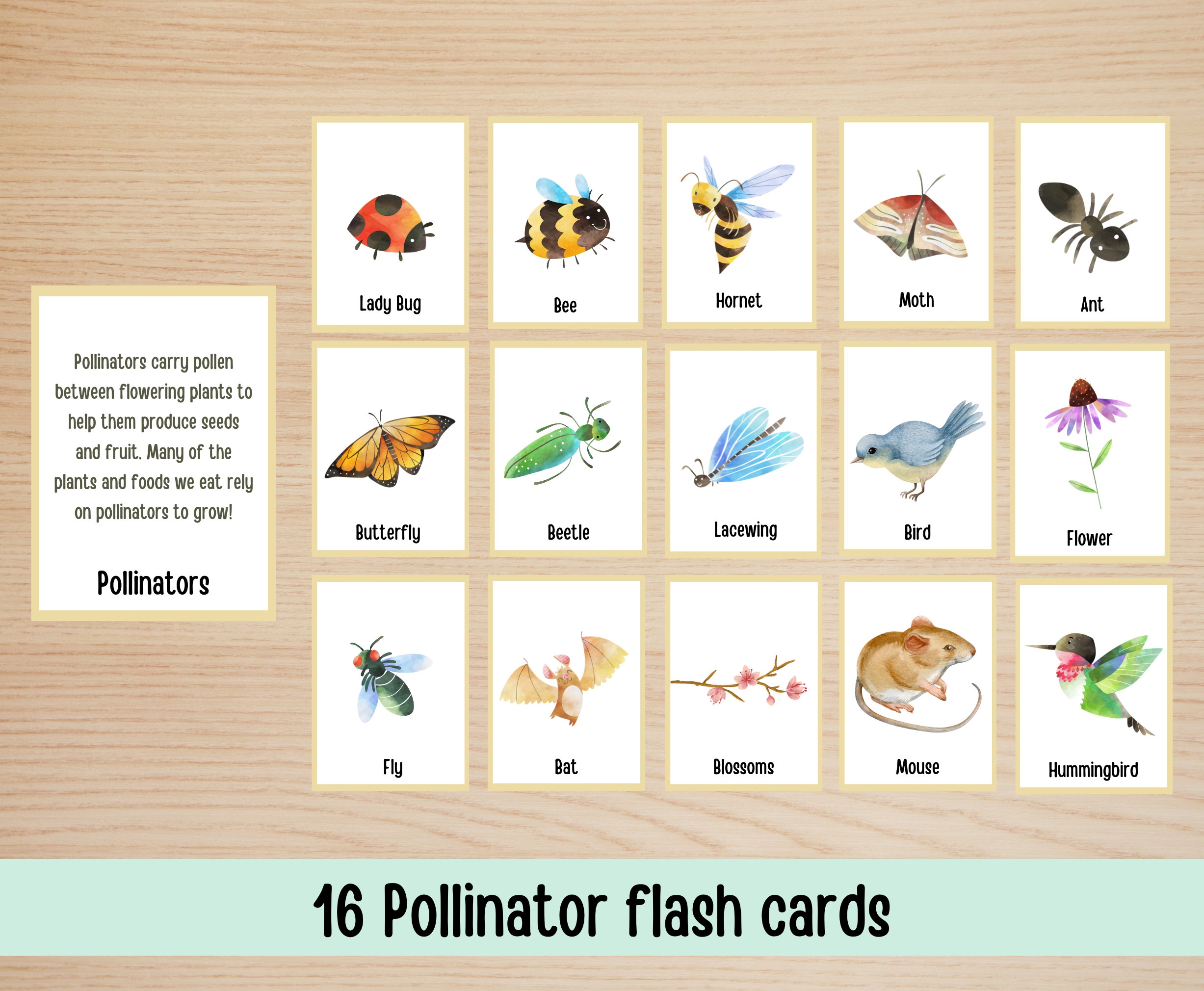 Pollinator Flash Cards Printable For Instant Download Pollinator Memory Matching Game Scavenger Hunt Cards Etsy