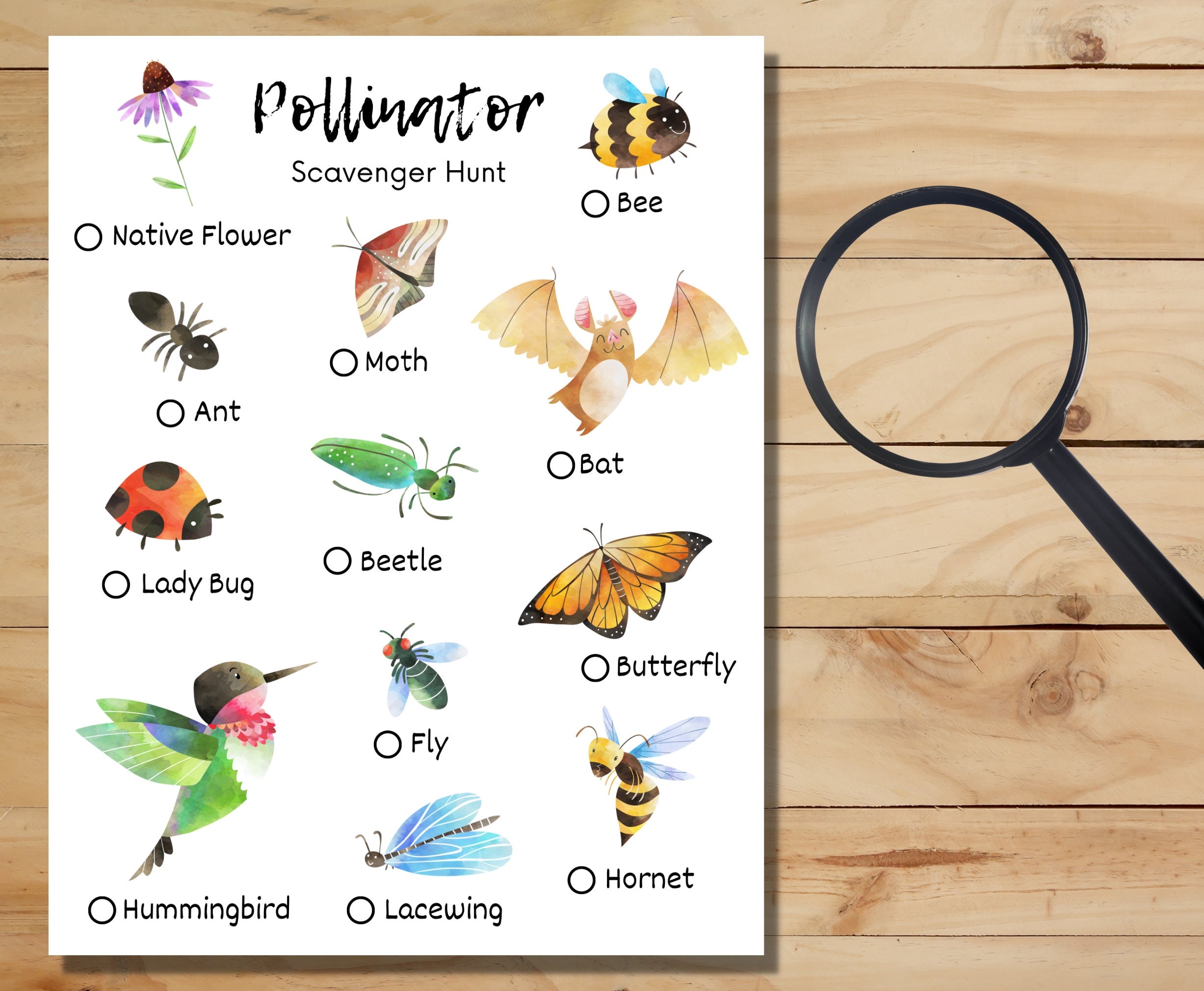 printable photos of pollinators