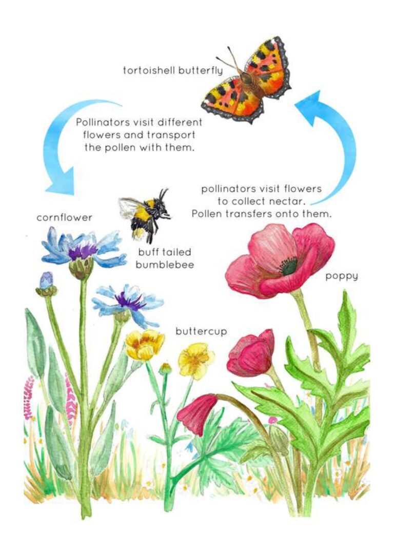 Pollinators Printable Poster