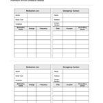 Portable Medication List U0026 Example Free PDF Download