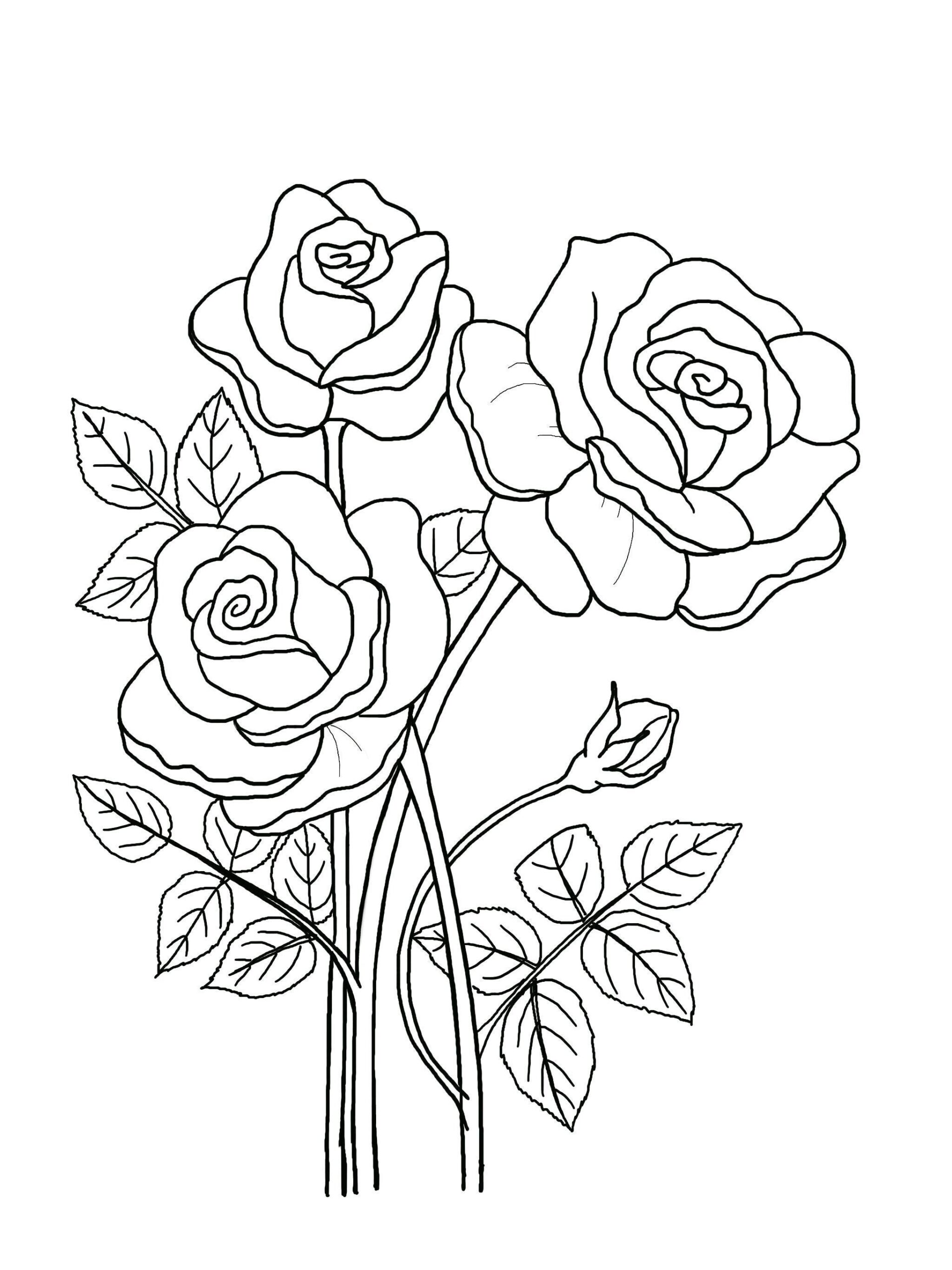 Printable Floral Coloring Sheets Coloring Pages Adult Coloring Pages Kids Coloring Pages Coloring Flowers Etsy Finland