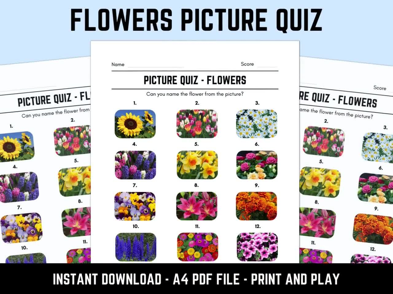 Printable Flowers Picture Quiz With Answers Picture Round Quiz Sheets Pub Quiz Trivia Downloadable Table Quiz