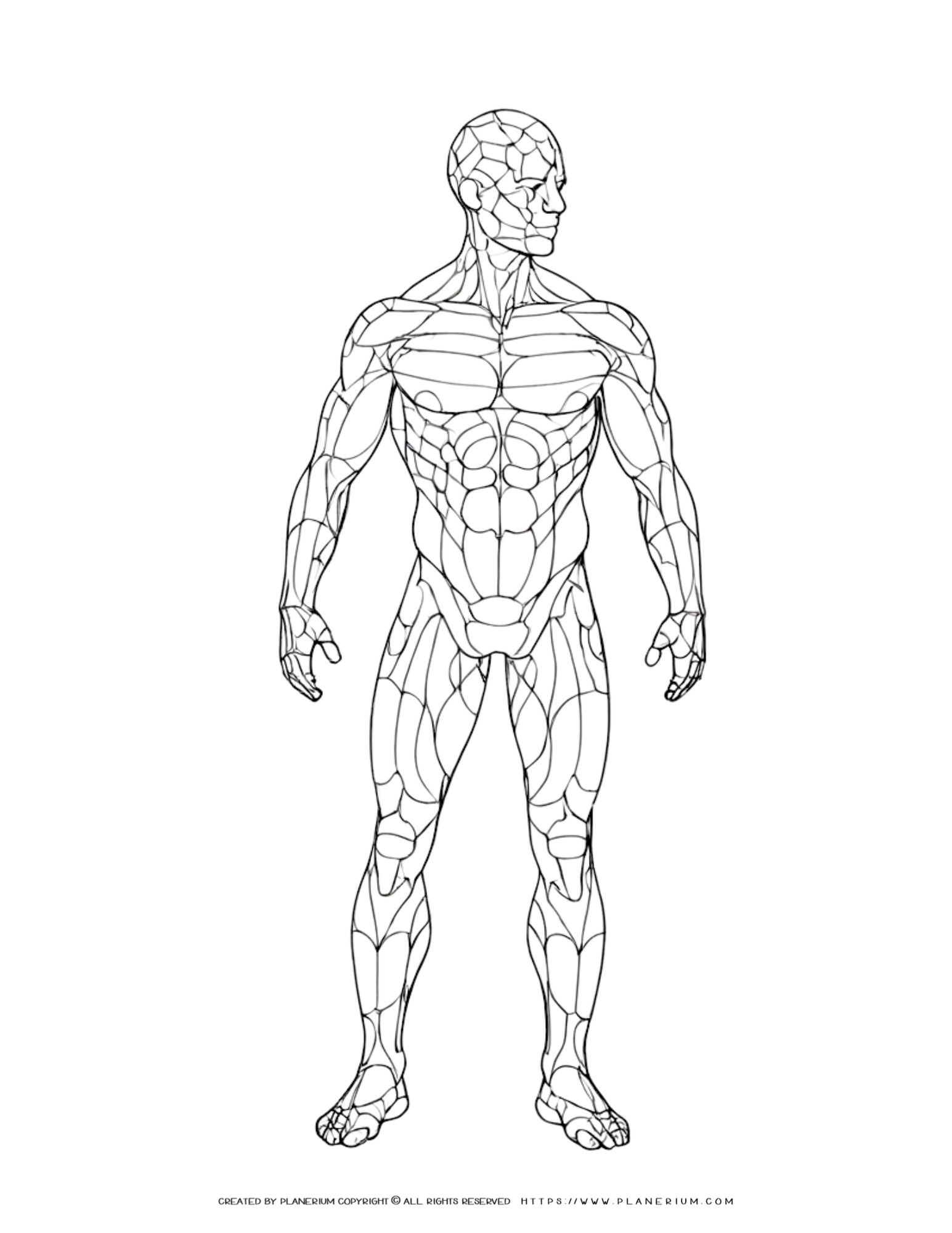 printable human body diagram