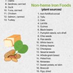 Printable Iron Rich Food List Free PDF The Geriatric Dietitian