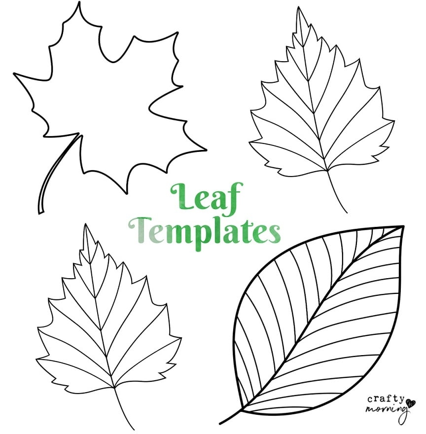 free printable leaf template