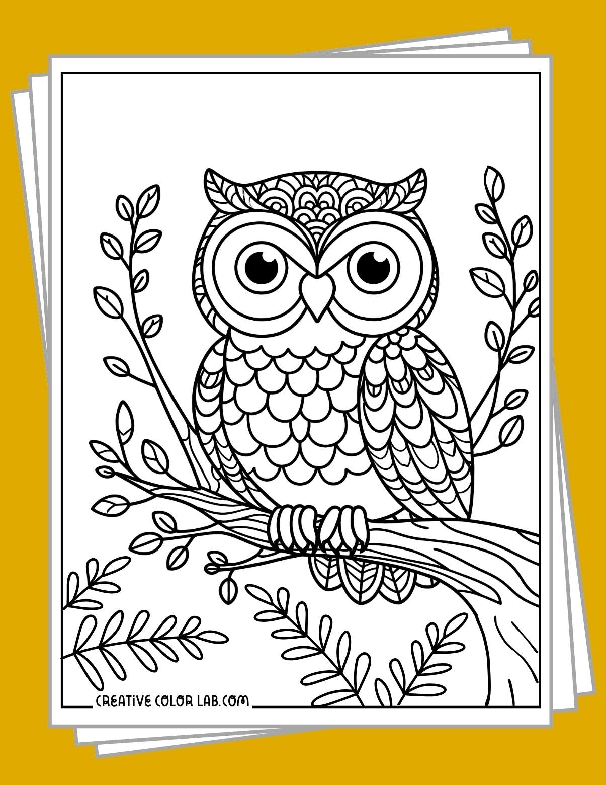 owl coloring pages printable