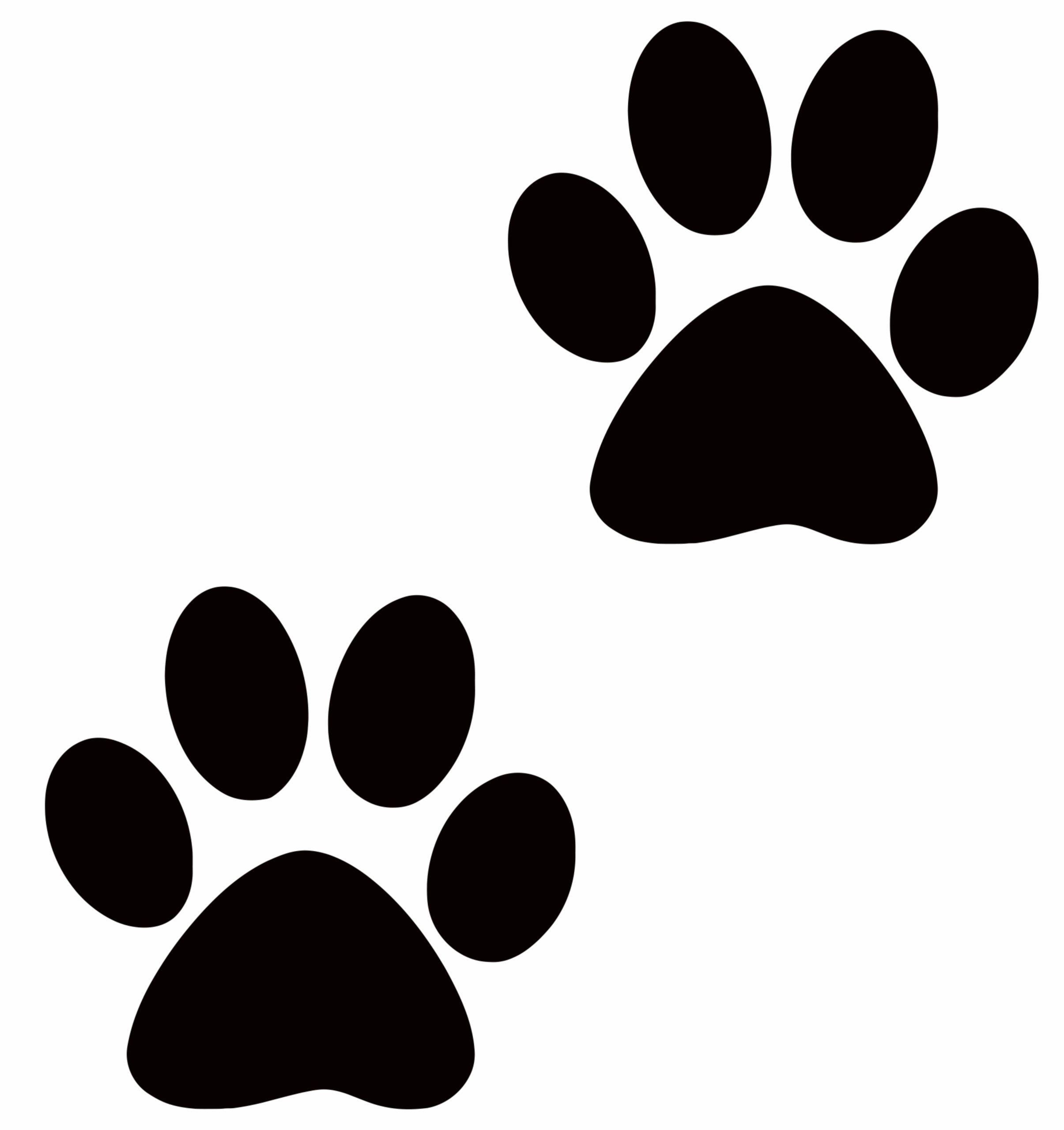 Printable Paw Prints Printable Party Favors