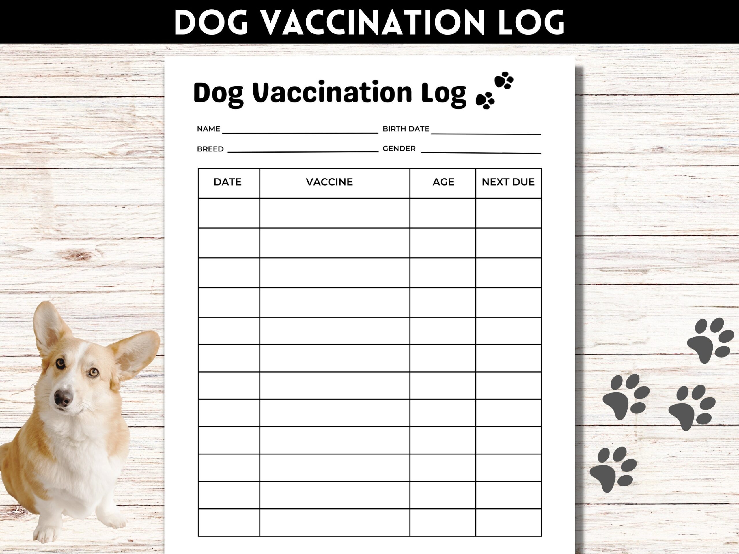 Printable PDF Free Puppy Vaccination Record Dog Health Record Dog Shot Record Pet 3131 S Hoover Street Unit 9 A