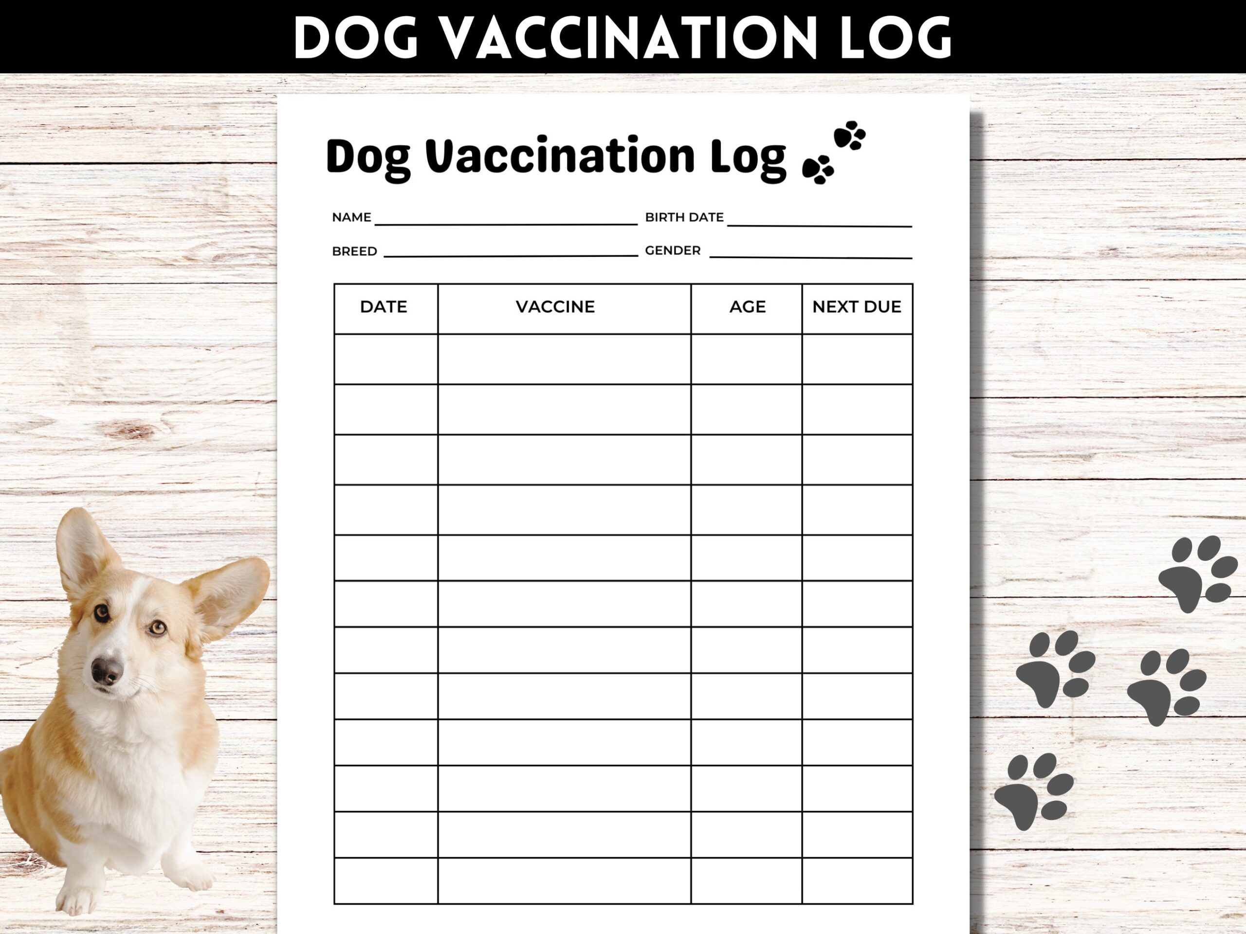 dog vaccination record printable