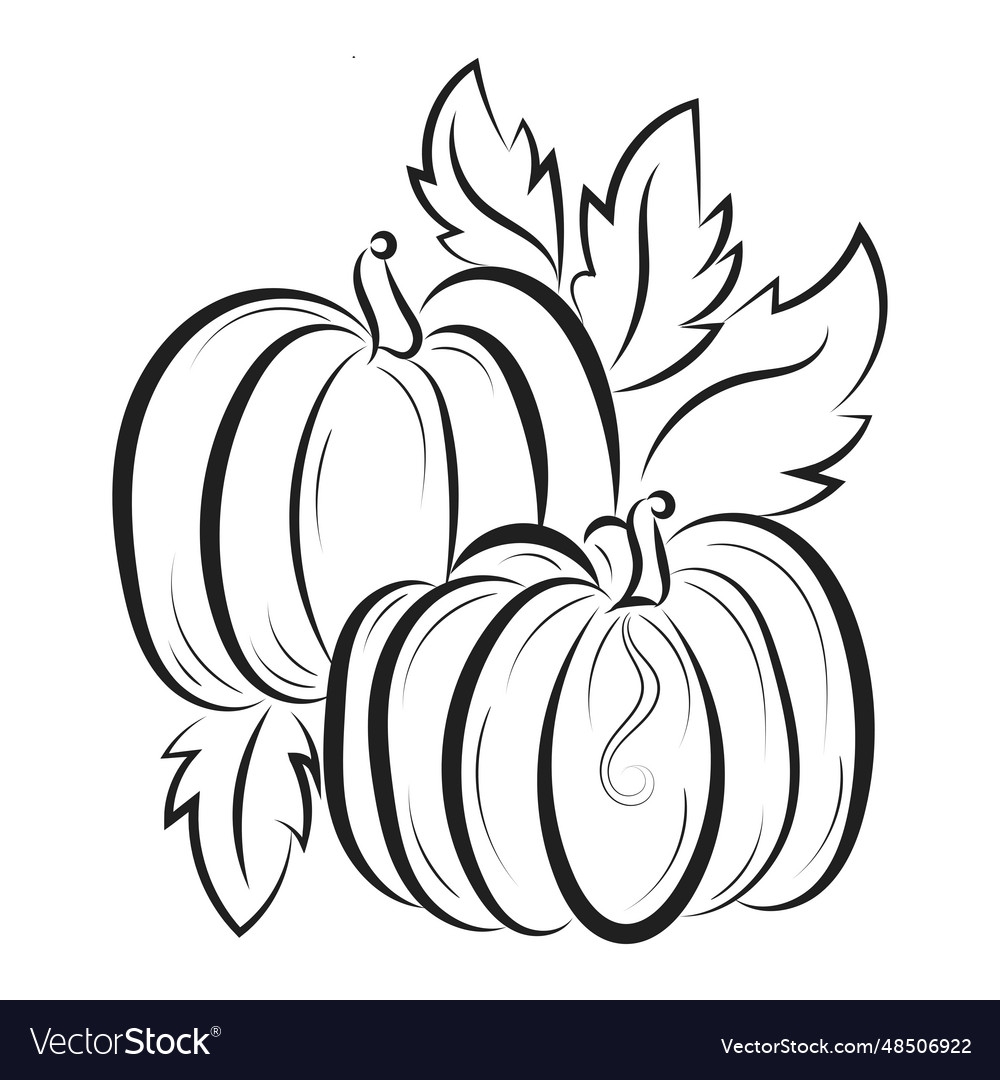 printable pictures of pumpkins