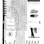 Printable Shoe Size Chart Activity Shelter