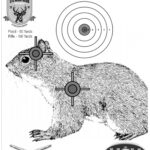 Printable Shooting Targets And Gun Targets NSSF Worksheets Library