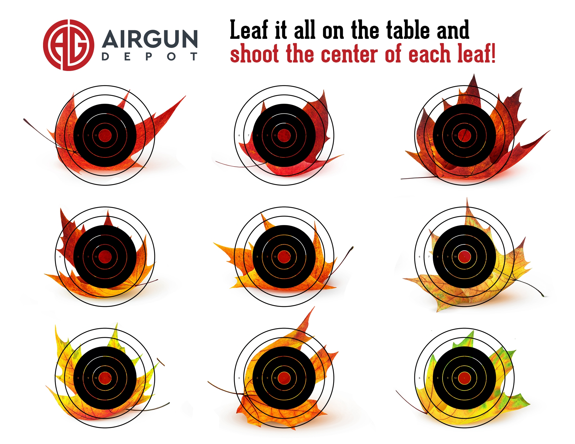 free printable rifle sighting targets