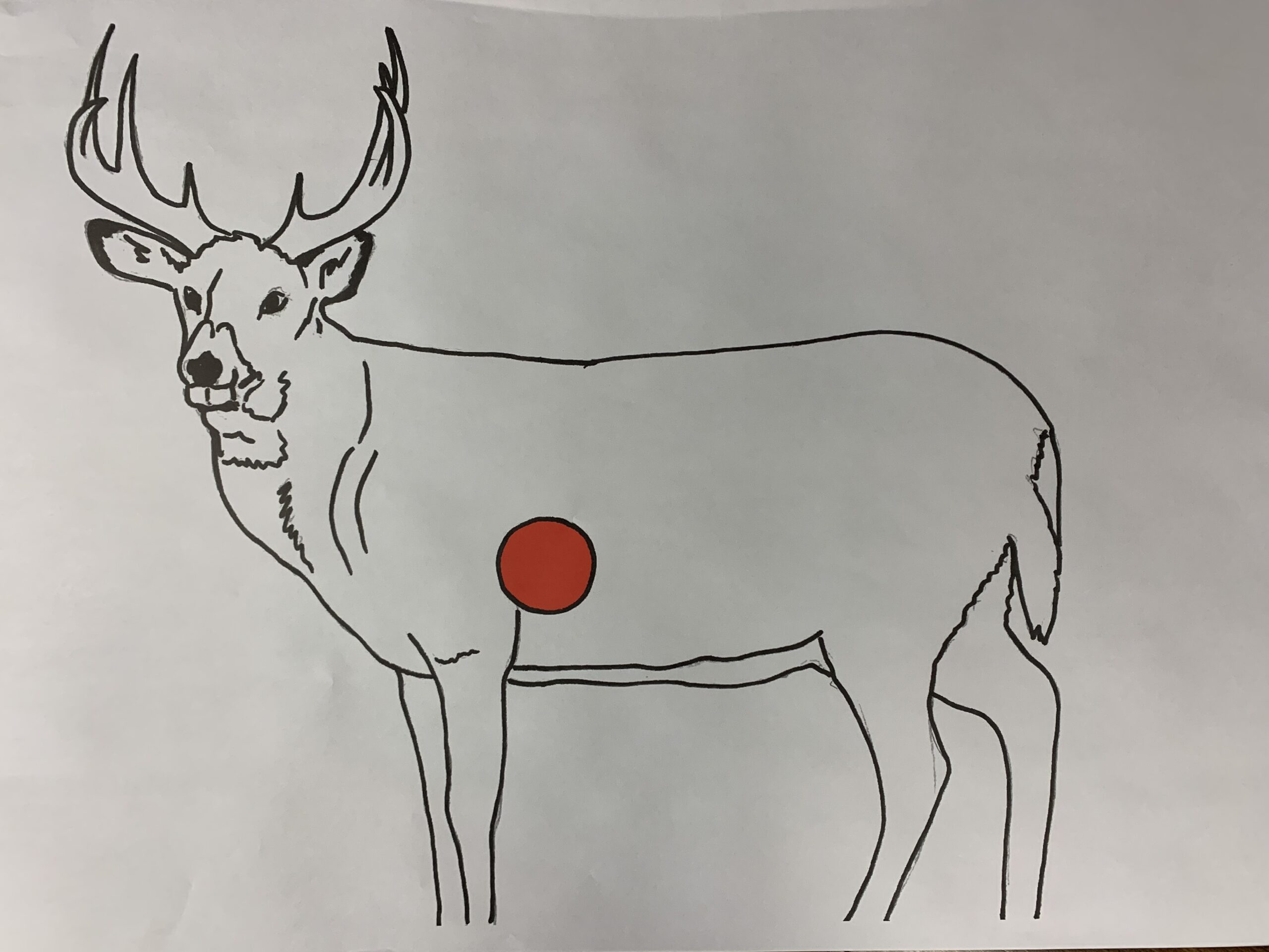 printable life size deer vitals