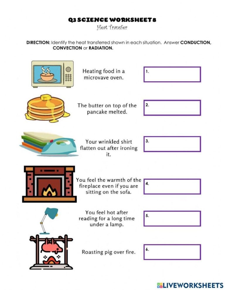 Q3 Science Worksheet 8 Heat Transfer Worksheet Live Worksheets Worksheets Library