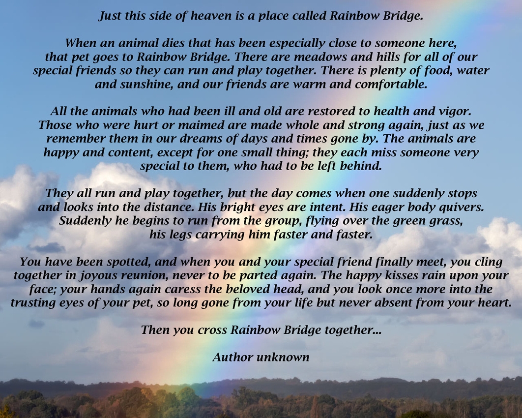 free printable rainbow bridge poem