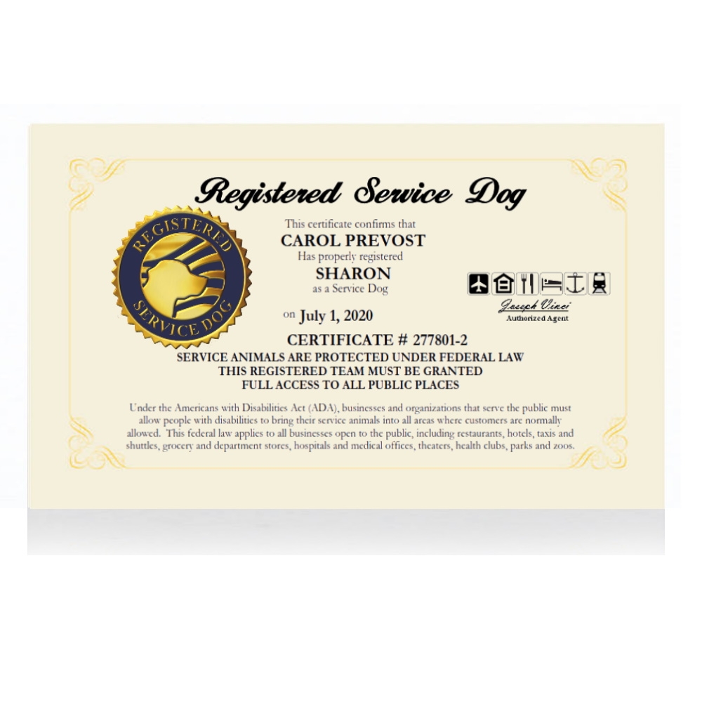 Registered Service Dog Certificate Official Service Dog Paperwork U0026 Certificate